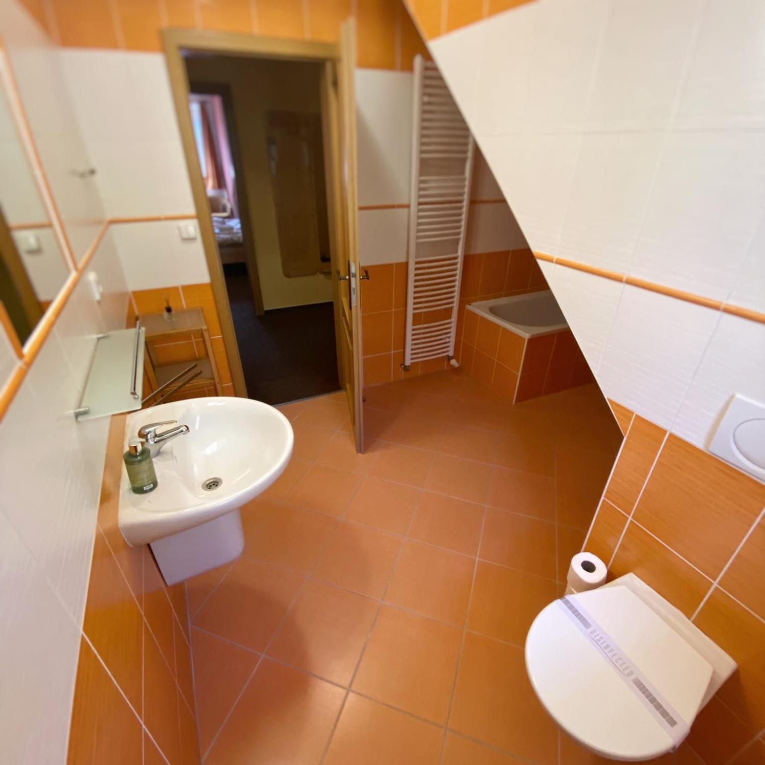 Horsky Hotel Snezenka Hyncice pod Susinou ภายนอก รูปภาพ